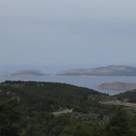 Echo Traditional House - Ηχώ Παραδοσιακό Σπίτι Émbonas Extérieur photo