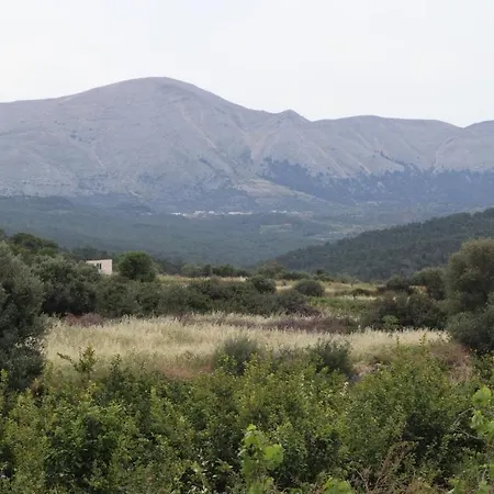 Echo Traditional House - Ηχώ Παραδοσιακό Σπίτι Émbonas Extérieur photo