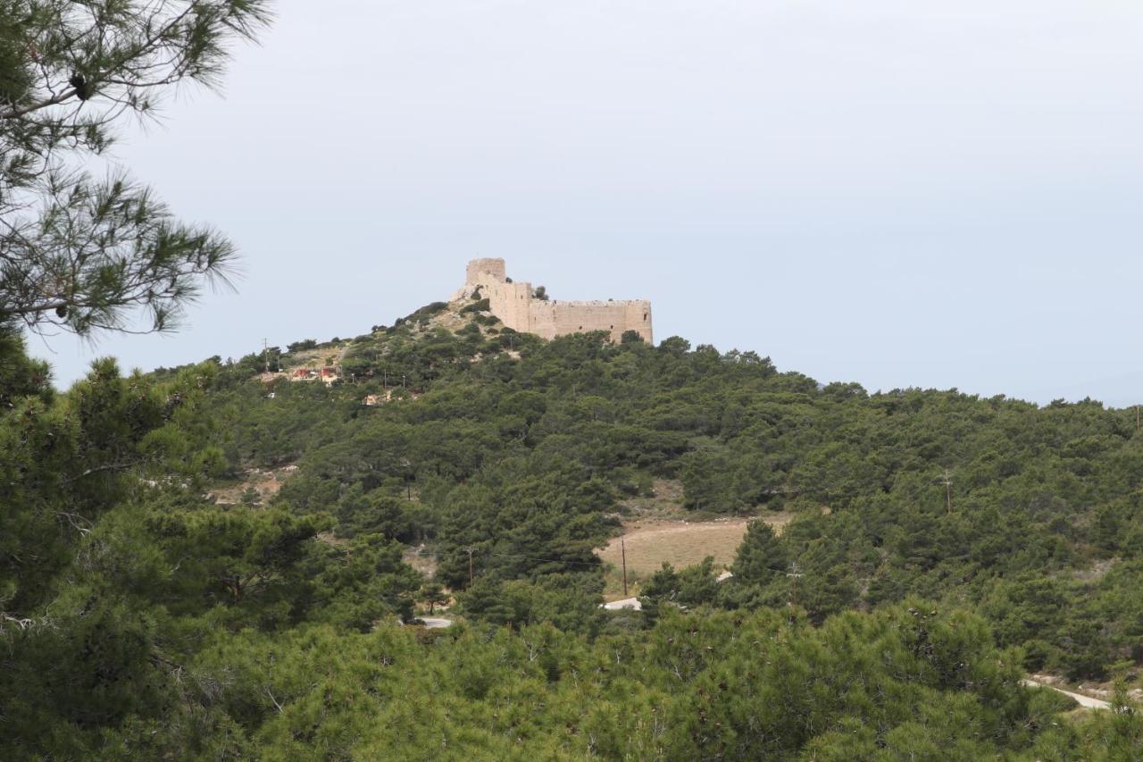 Echo Traditional House - ηχώ παραδοσιακό σπίτι * Émbonas